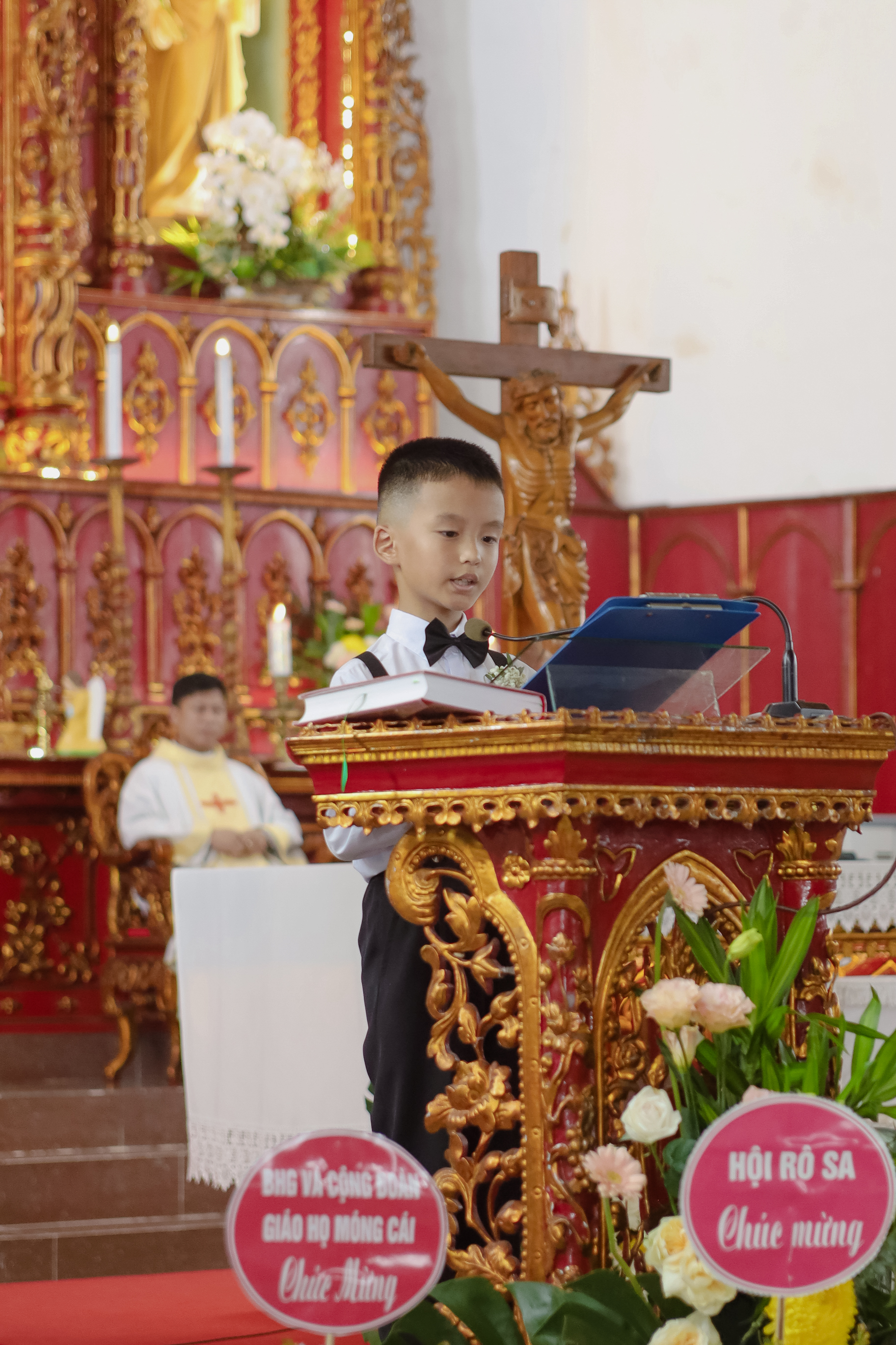 Photo-7